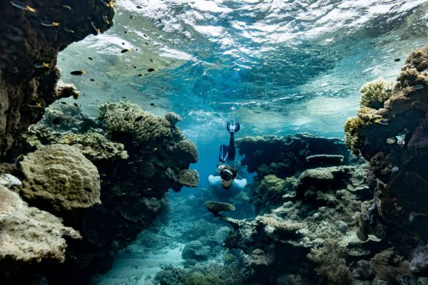 GBR Biology marine biologist Brittany Wassing alongside the Reef Magic Pontoon at Moore Reef on the Great Barrier Reef. Image Luke Marsden