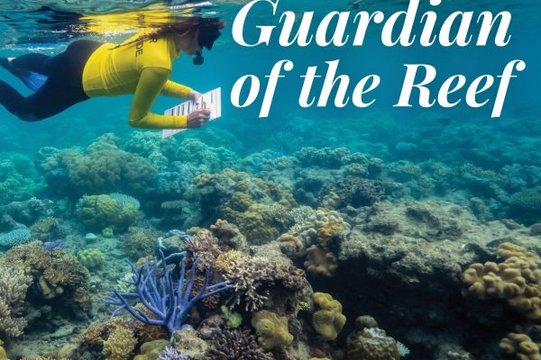 Guardian of the reef